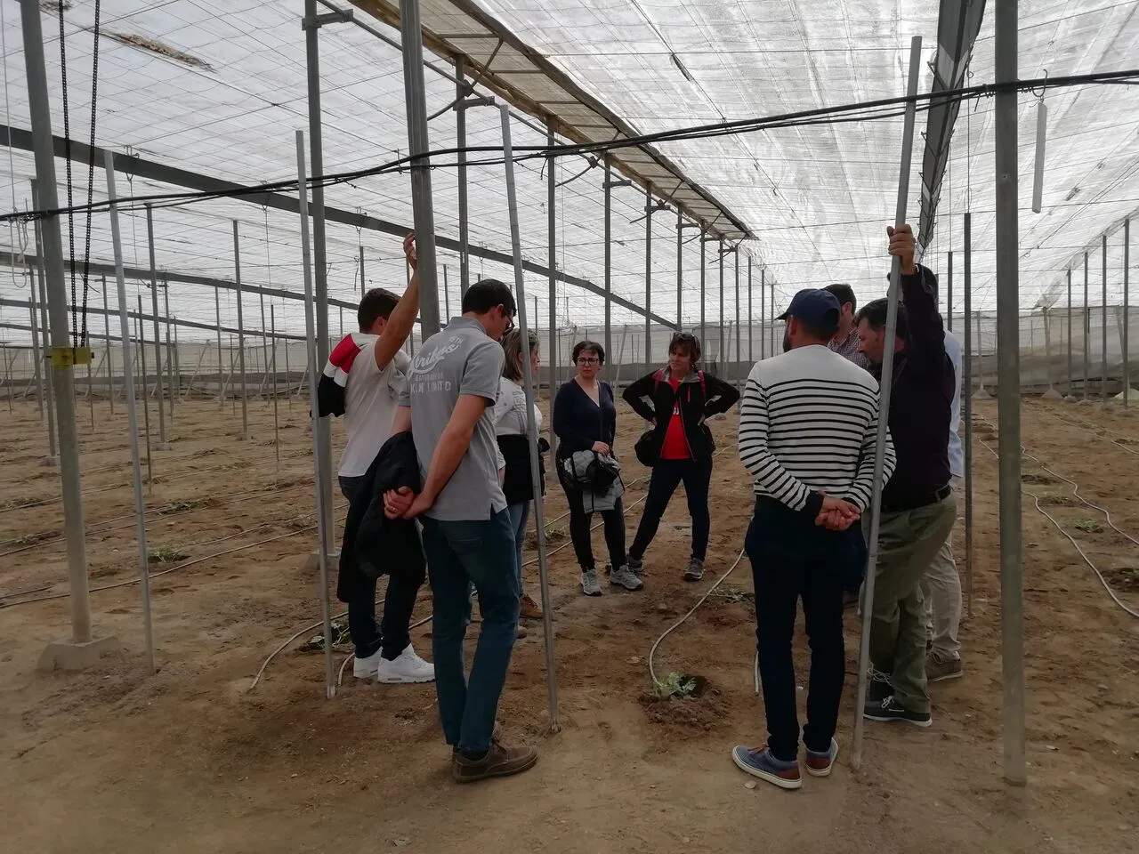 Joves al camp valencià 2