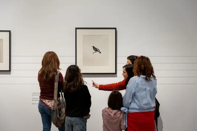 museos 1 en tamaño mediano