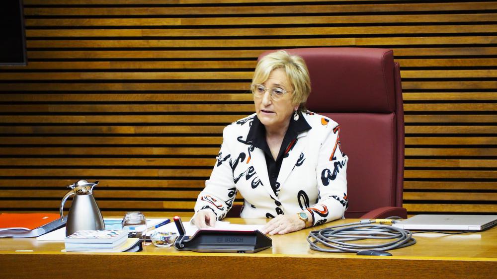 201105_Barcelo_comparecencia_presupuestos