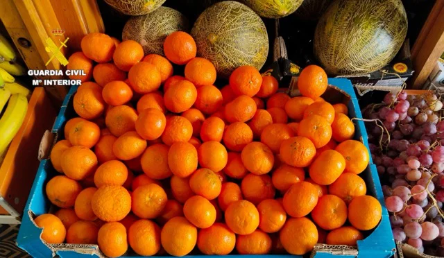 20260316 roca burriana en tamaño mediano