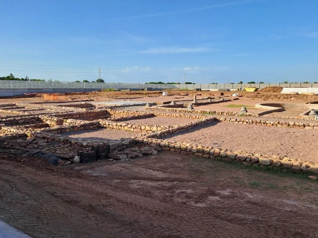 nules benicato .1  en tamaño mediano