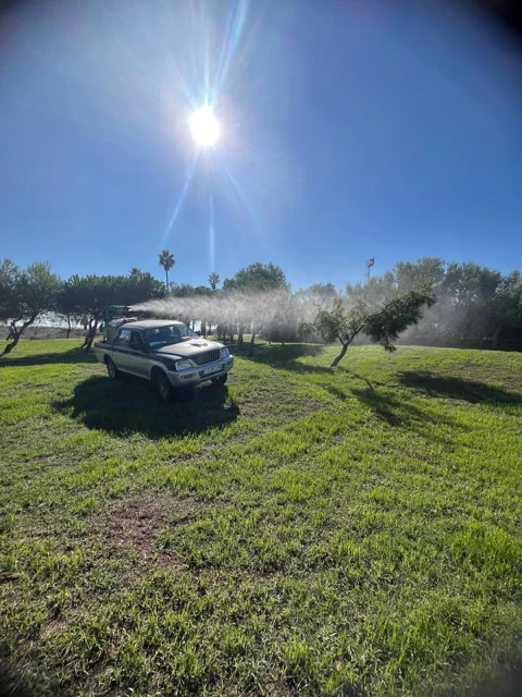 Fumigación Mosquitos (1) en tamaño mediano