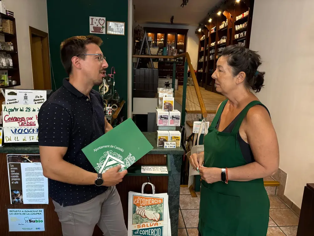 ayudas comercios