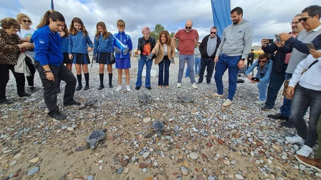 20261022_111408 en tamaño mediano