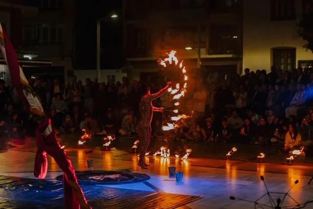 Ave de Fuego, en plaza de Las Aulas, anoche en tamaño mediano