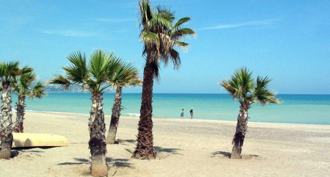 AP_Palmeras_Heliop_2002-680x365_c