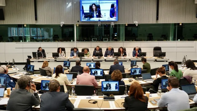 Cumbre Europea de Autoridades Locales Intermedias (1) en tamaño mediano