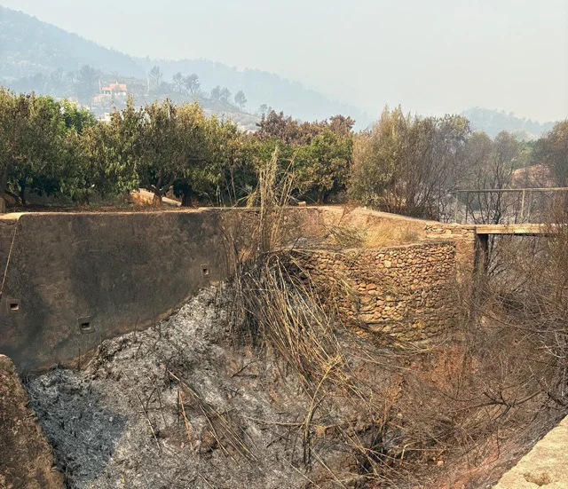 incendio_castellon_barranco en tamaño mediano