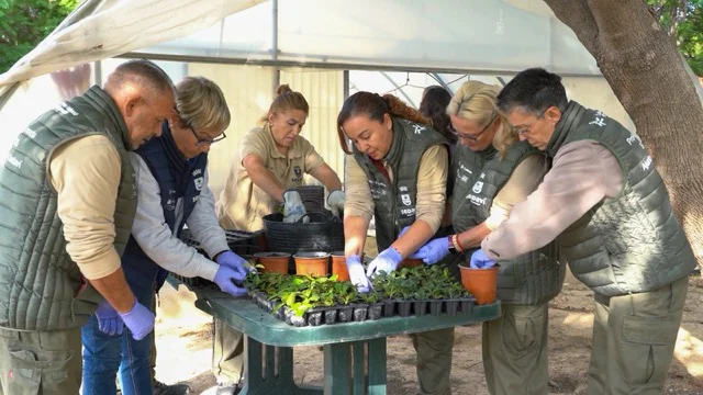 labora 2 en tamaño mediano