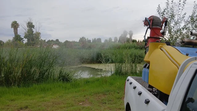 tratamientos mosquitos (1) en tamaño mediano