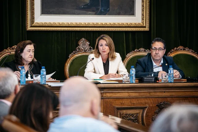 consejo social en tamaño mediano