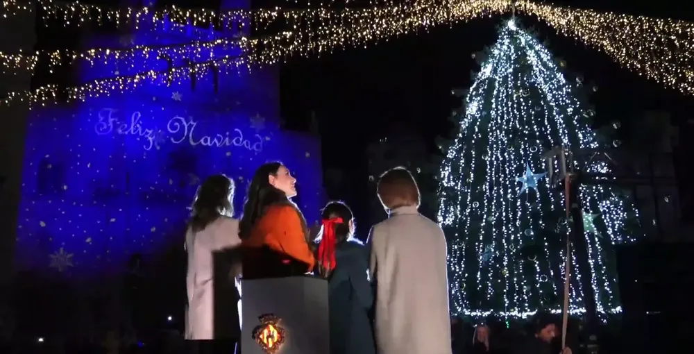 Captura de pantalla 2024-12-09 120514