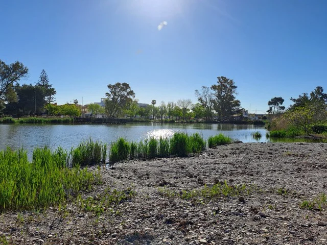 20260401_100930 (1) en tamaño mediano