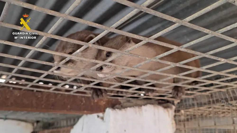 2025-08-26_op_aonix_valencia_3