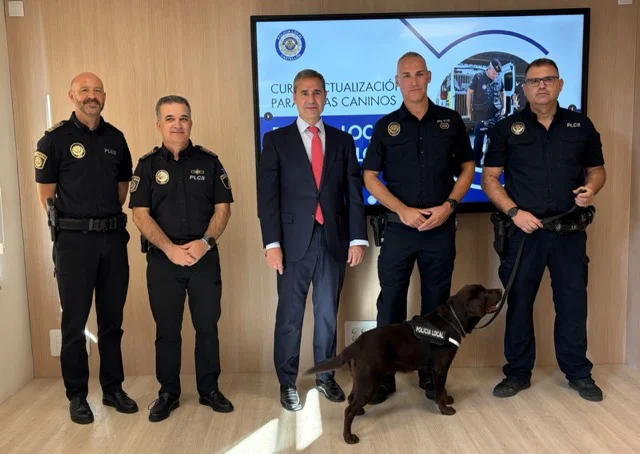 guías caninas 2 en tamaño mediano