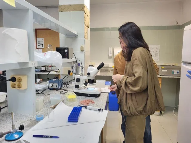 Centro salud pública CS 2 en tamaño mediano