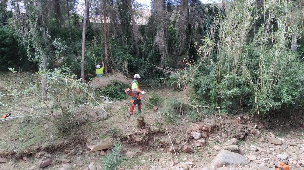 brigada de mitigación barranco de la Parreta