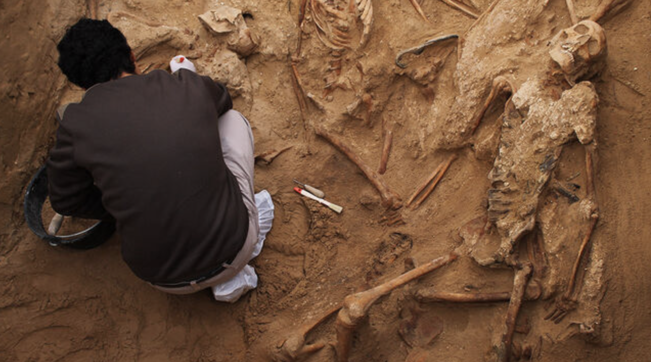 Captura de pantalla 2020-05-22 a las 10.55.15