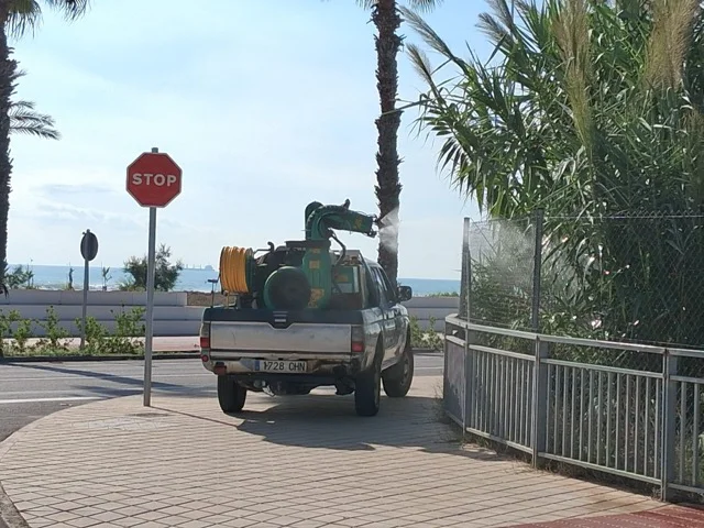 mosquitos 2 en tamaño mediano