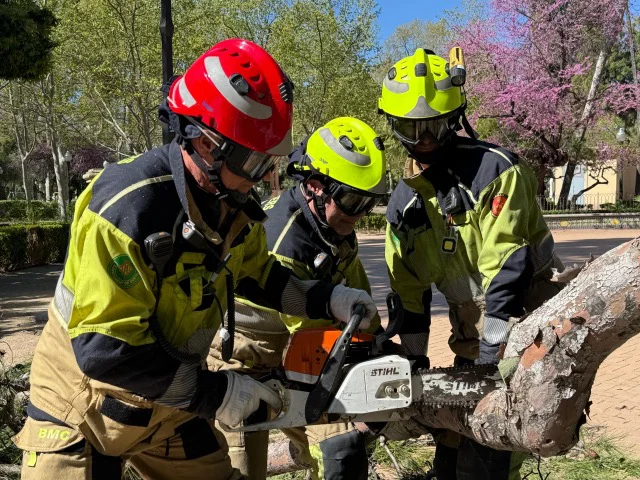 Actuaciones Bomberos Castellón 29 marzo en tamaño mediano