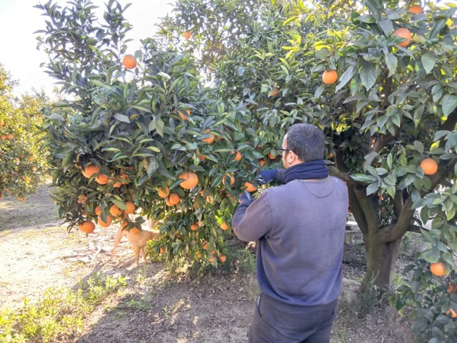 Foto joves recurs en tamaño mediano