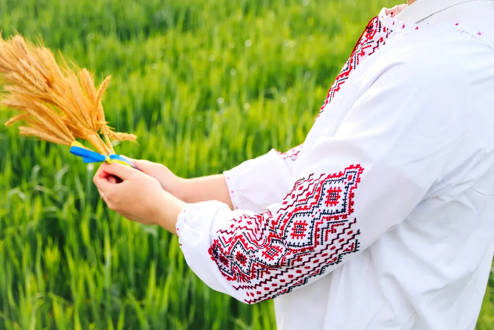 woman-in-vyshyvanka-holding-bouquet-of-ripe-golden-2025-02-12-05-12-23-utc