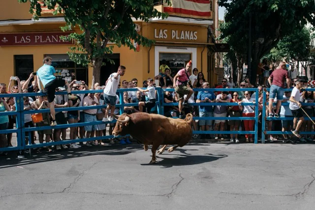 Encierro Sant Pere 3 en tamaño mediano