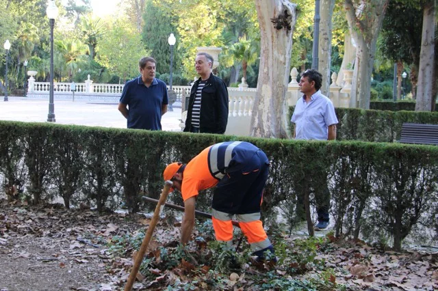 poda 1 en tamaño mediano