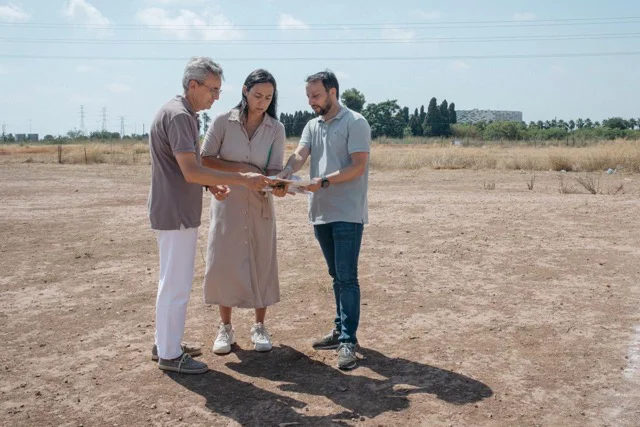 censal parc en tamaño mediano