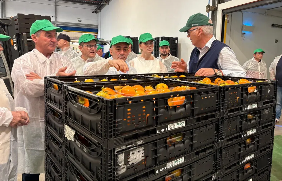 cooperativa naranjas
